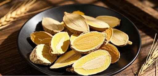 草本药材图片 15